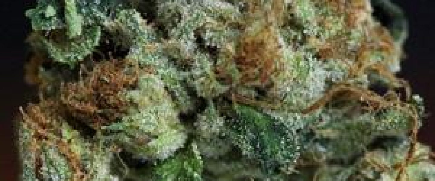 crohns disease medical marijuana