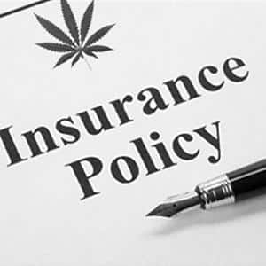 car insurance, marijuana policy, legalizing marijuana
