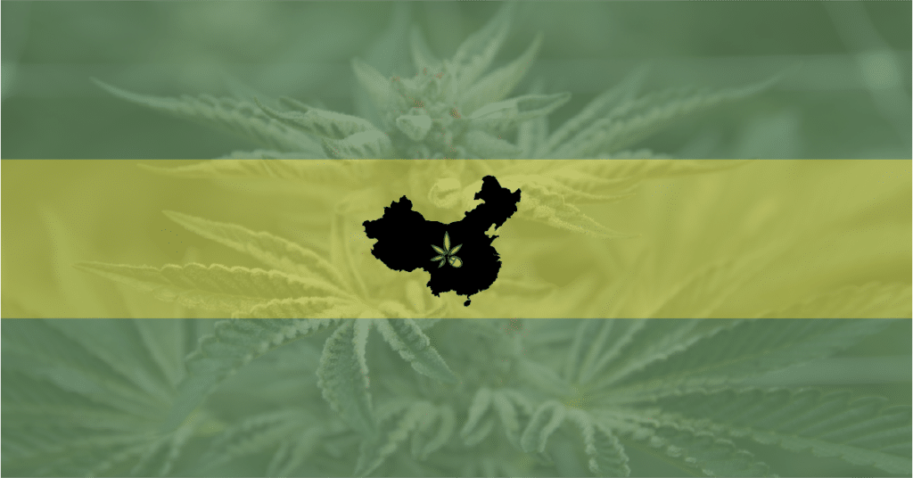 Picture of China over a marijuana plant background—China will ban the manufacturing and consumption of synthetic cannabis.