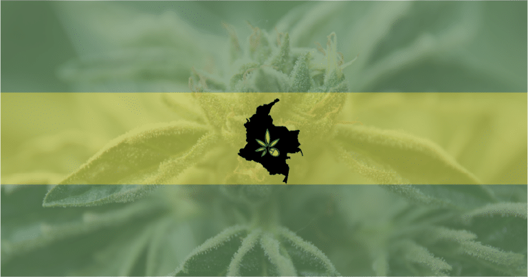 Picture of a marijuana plant and the country of Colombia—South American cannabis cultivator Flora began trading on the Nasdaq.