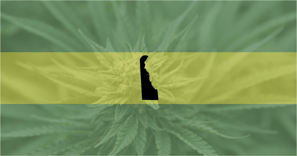 Picture of Delaware state over a cannabis background—dispensaries are opposing a recreational legalization bill.