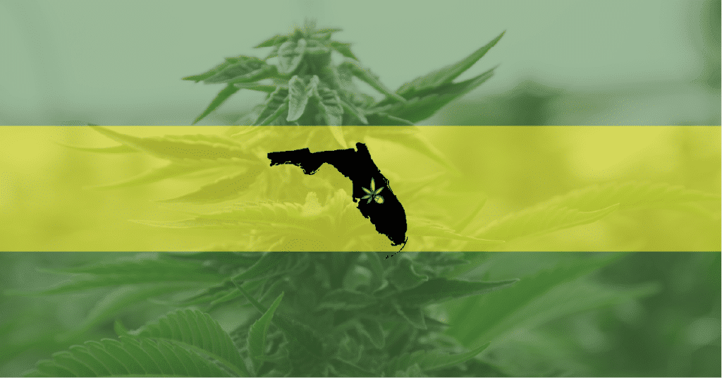Image of the Florida state outline on top of an outdoor marijuana plant—Florida is likely to expand medical and recreational weed protections.