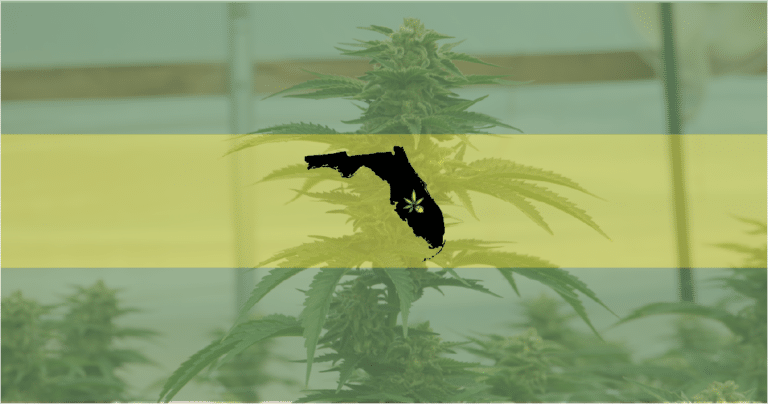 Picture of the state of Florida over a flowering cannabis plant—Florida Supreme Court has ruled against a ballot initiative to legalize weed.