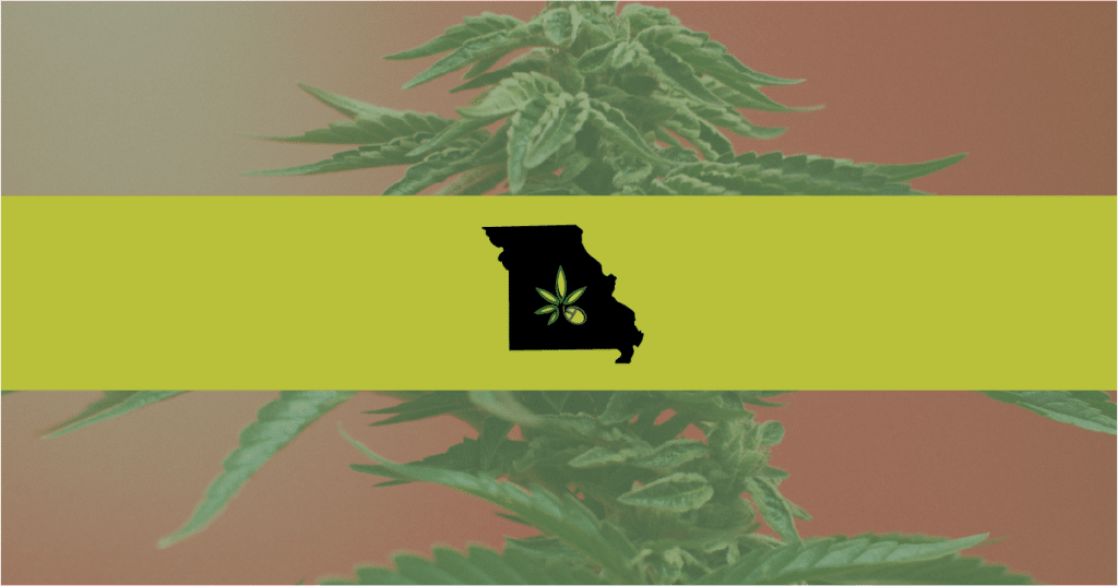 Picture of the state of Missouri in front of a weed plant background—Missouri legislators are considering a bill that would ban discrimination against parent medical marijuana patients involved in custody cases.