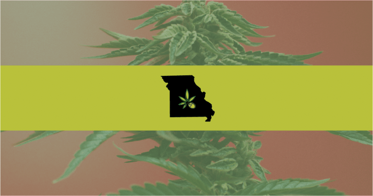 Picture of the state of Missouri in front of a weed plant background—Missouri legislators are considering a bill that would ban discrimination against parent medical marijuana patients involved in custody cases.