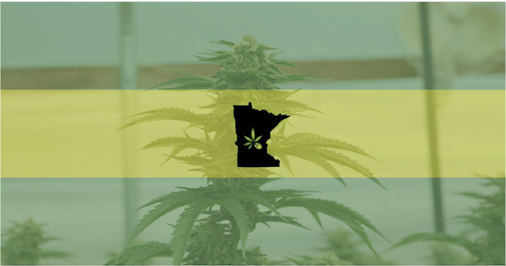 Picture of the state of Minnesota in front a cannabis plant—the Minnesota Legislative Committees have cleared a recreational marijuana bill.