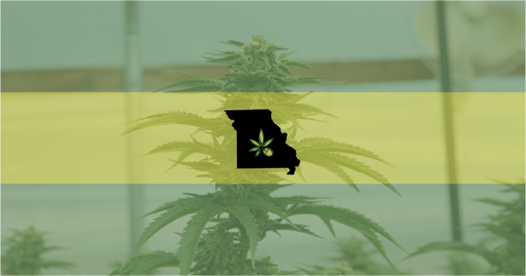Picture of the state of Missouri on an outdoor marijuana plant—legal dispensary sailed have exceeded $20 million.