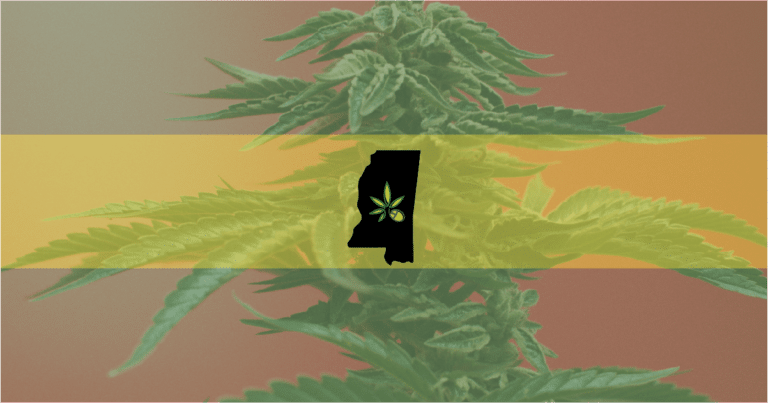 State of Mississippi over the background of a flowering cannabis plant—Mississippi Supreme Court will hear arguments for and against the medical legalization bill.