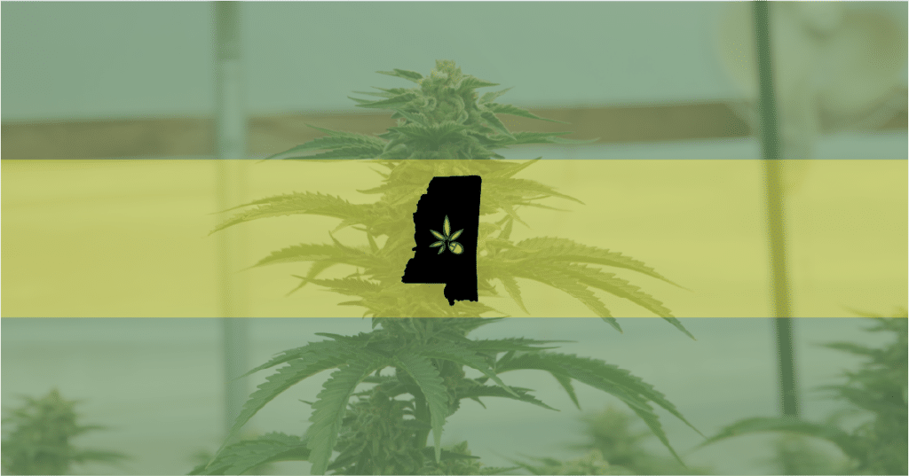 Image of the state of Mississippi over a marijuana plant background—the state will have to wait for a Supreme Court ruling before Initiative 77 can be be passed into law.