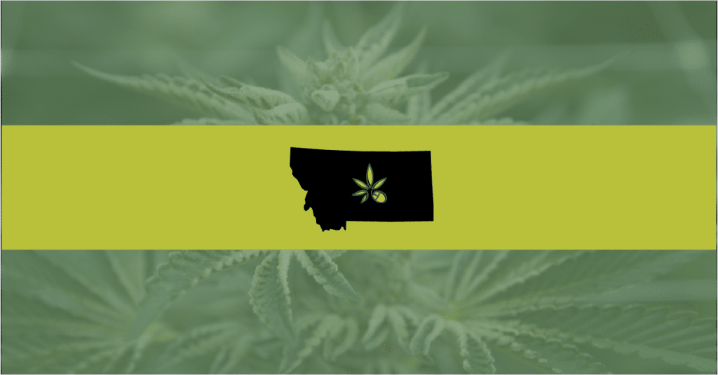 Picture of the state on Montana over a marijuana background—the group that funded recreational legalization efforts will not have to disclose its donors.
