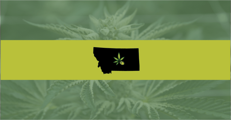 Picture of the state on Montana over a marijuana background—the group that funded recreational legalization efforts will not have to disclose its donors.