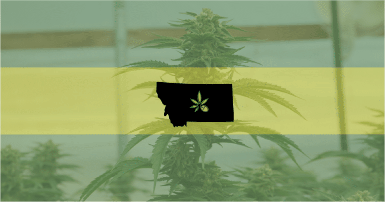 Image of the state of Montana—there is a new recreational marijuana state.