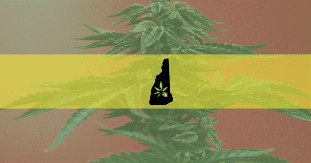 Picture of a new Hampshire icon on a marijuana background—2nd court victory over medical marijuana claim.