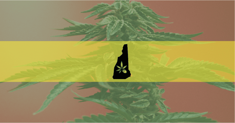 Picture of a new Hampshire icon on a marijuana background—2nd court victory over medical marijuana claim.