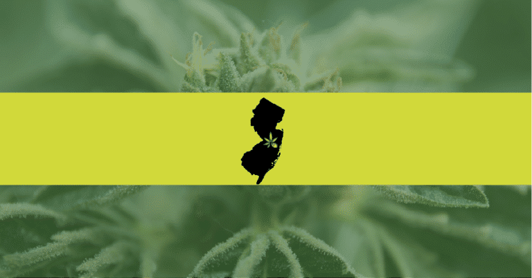 A picture of a New Jersey flag over a cannabis plant background—the state has recently legalized recreational marijuana.