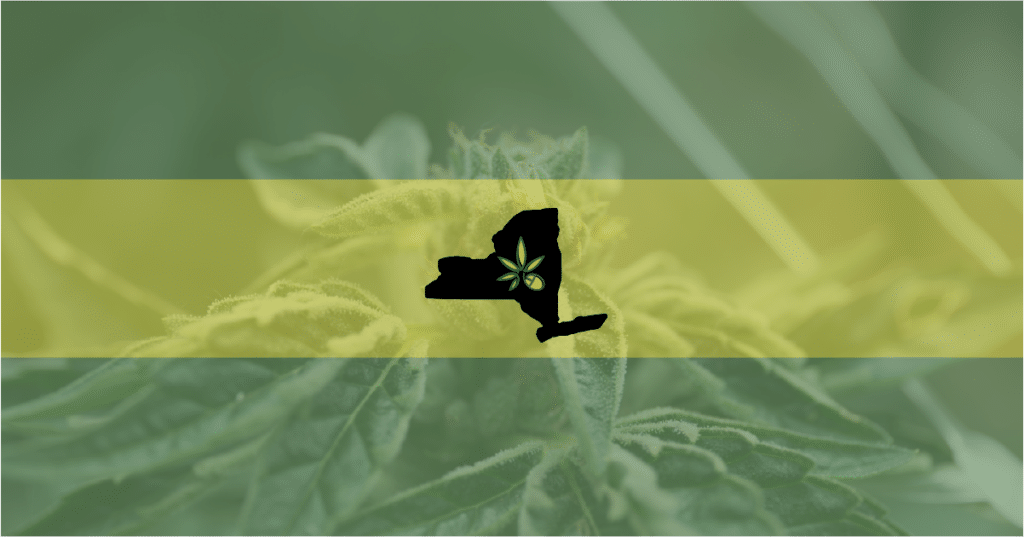 Picture of New York state over a marijuana background—New York has recently banned the sale of Delta 8 THC.