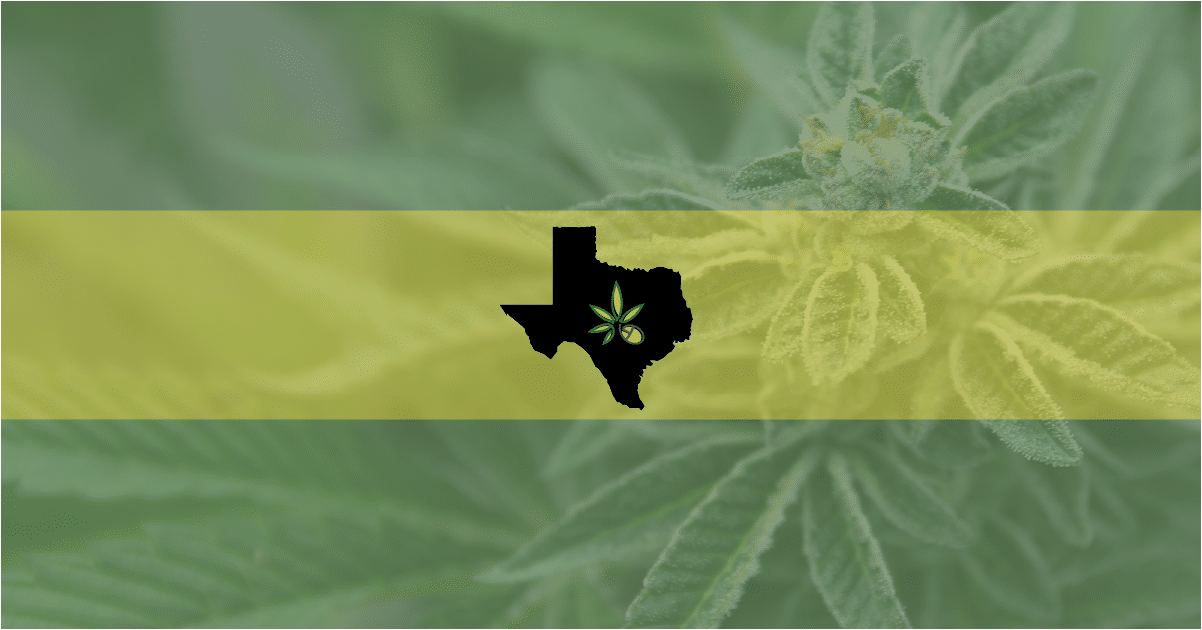 One Texas Police Department Decides Cannabis Smell Alone Not Probable