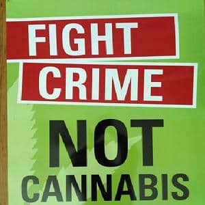 fight crime not cannabis protest