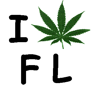 florida medical marijuana initiative campaign