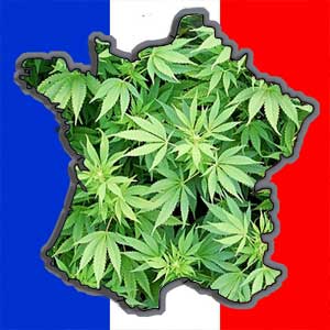 france medical marijuana cannabis medicines