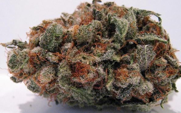 fruity pebbles marijuana strain