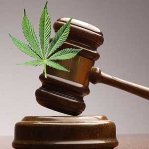 Gavel marijuana san diego superior court judge