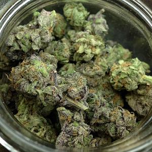 gdp marijuana strain
