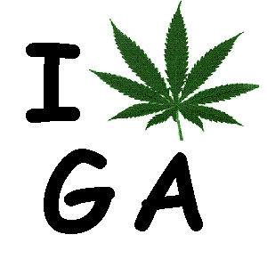 georgia medical marijuana