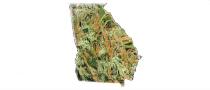 Georgia with no medical marijuana