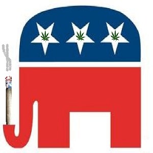 gop marijuana conservatives rand paul bryan fischer