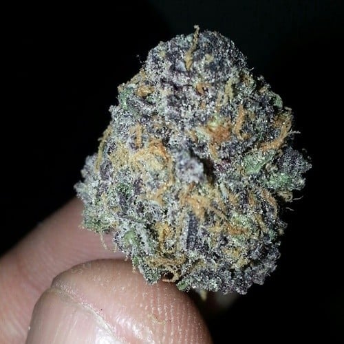 granddaddy purple marijuana strain