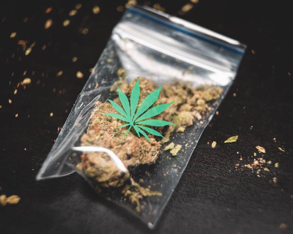 New Massachusetts Bills Would Decriminalize All Drugs And Study Regulated Sales of Psychedelics