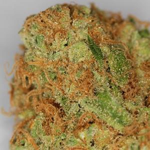 green crack marijuana strain
