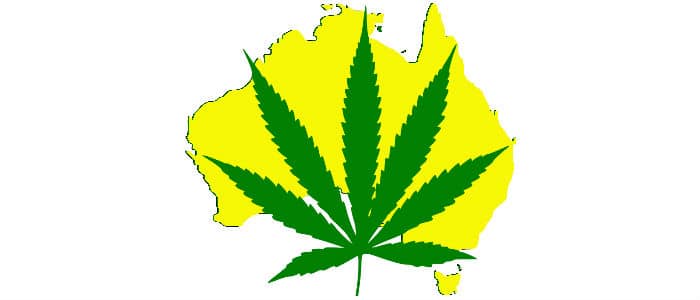 grow medical marijuana in australia, medical cannabis, australia