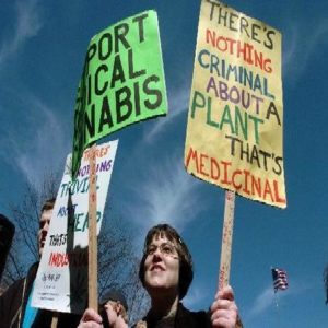 michigan medical marijuana rally raids
