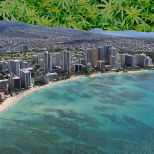 hawaii medical marijuana