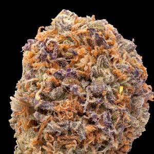 heavy duty fruity marijuana strain