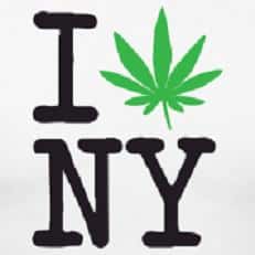 New York Marijuana