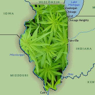 Illinois medical marijuana hb 1