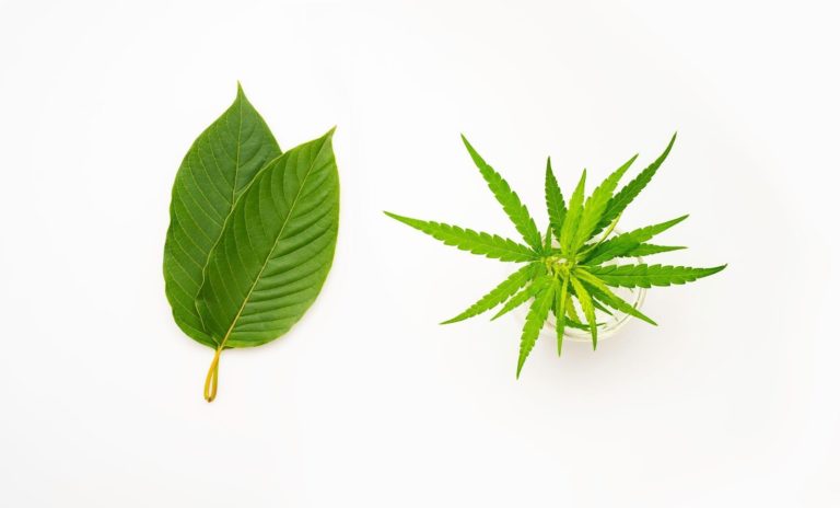 Kratom and Cannabis
