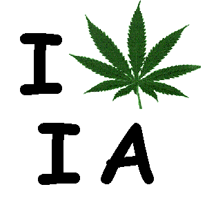 iowa marijuana