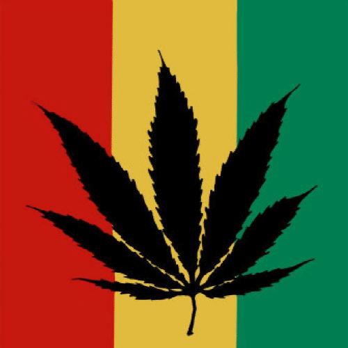jamaica marijuana