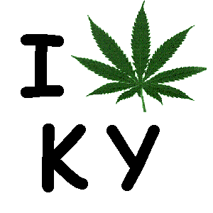 kentucky medical marijuana poll