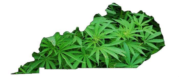 legalize medical cannabis in kentucky