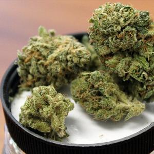 la confidential marijuana strain
