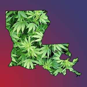 Louisiana Marijuana