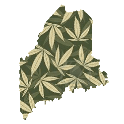 maine marijuana legalization LD 1229