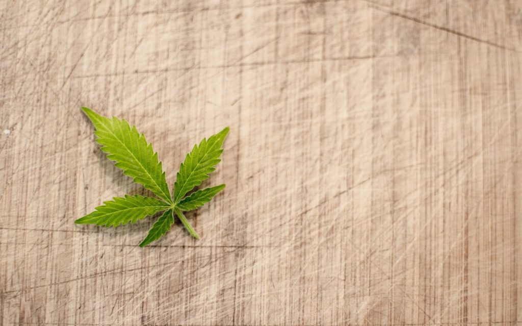 marijuana leaf against a neutral backdrop.