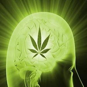 marijuana creativity brain