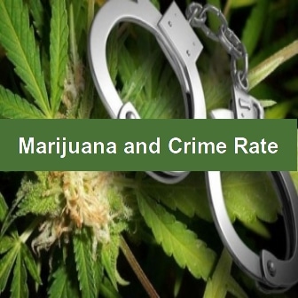Shutting Down Marijuana Dispensaries Increases Crime Rate